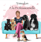 Trimsalon Logo